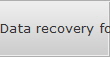 Data recovery for Taylorsville data